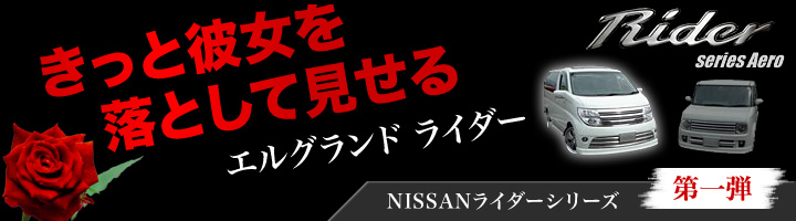 エルグランド　ライダー 日産ライダーシリーズ　第1弾