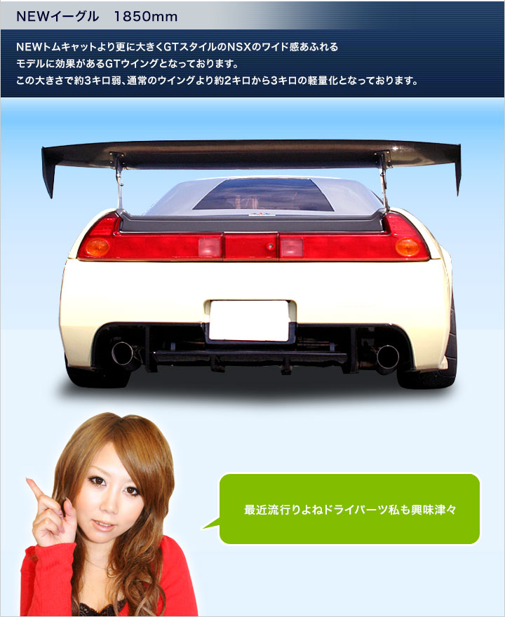 NSX　GTウイング　NEWトムキャット・NEWイーグル　ルートKS製＆ZAZ製